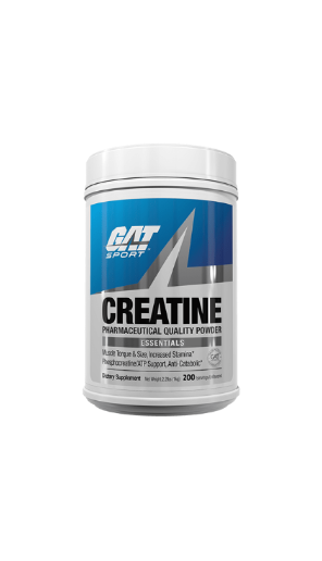 GAT SPORT CREATINA 1K 200 SERV